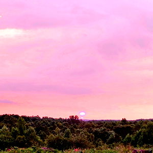 Aaron Freelance photo