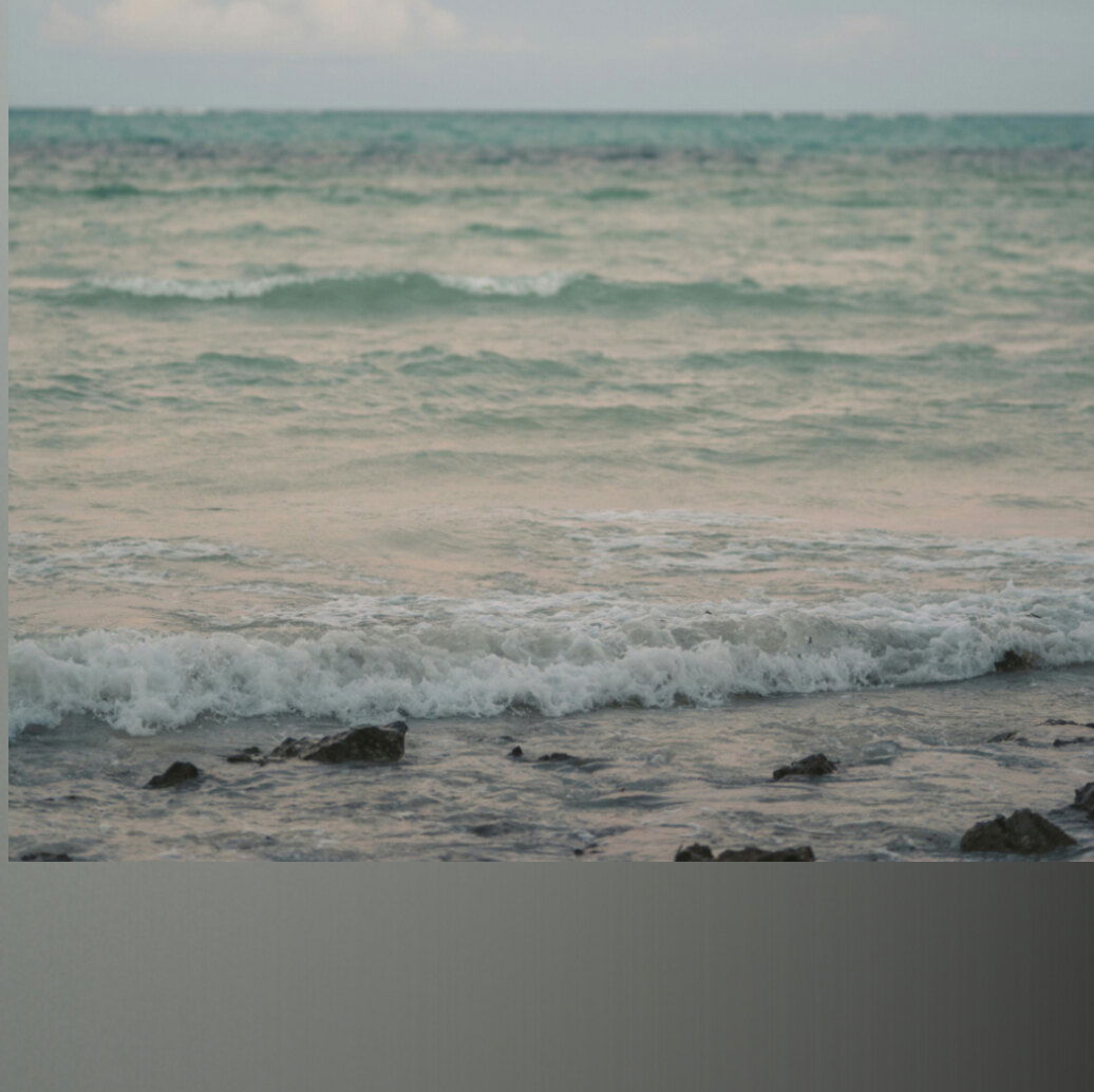 Cherryxoviolet-free photo