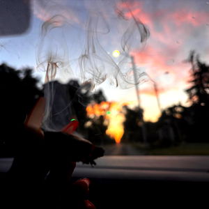 Honeybuns๐ฉท photo