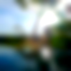 Little Betsy๐ photo