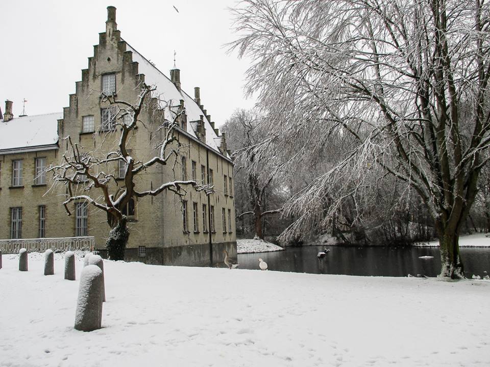 Joeri bryssinck photo