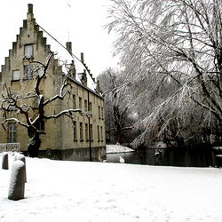 Joeri bryssinck photo