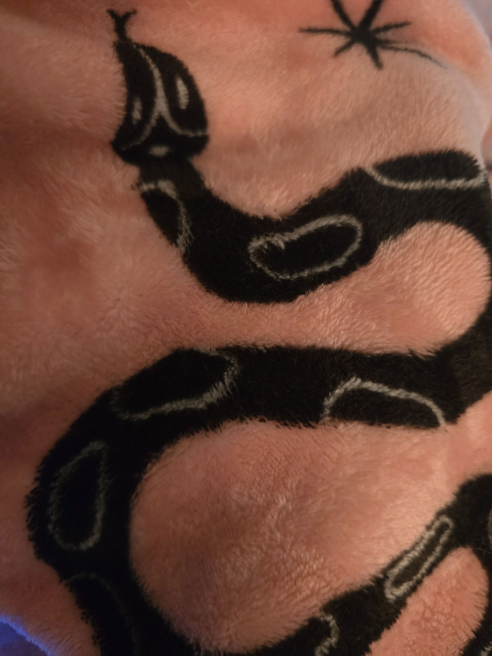 AlexandritexRiot photo