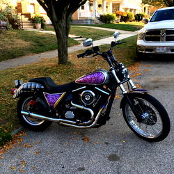 Butchcassidy13 photo