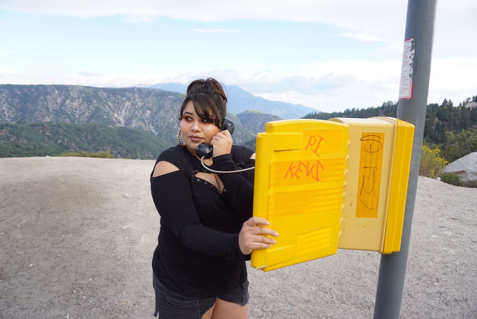 🔮 C a t 🐺 photo