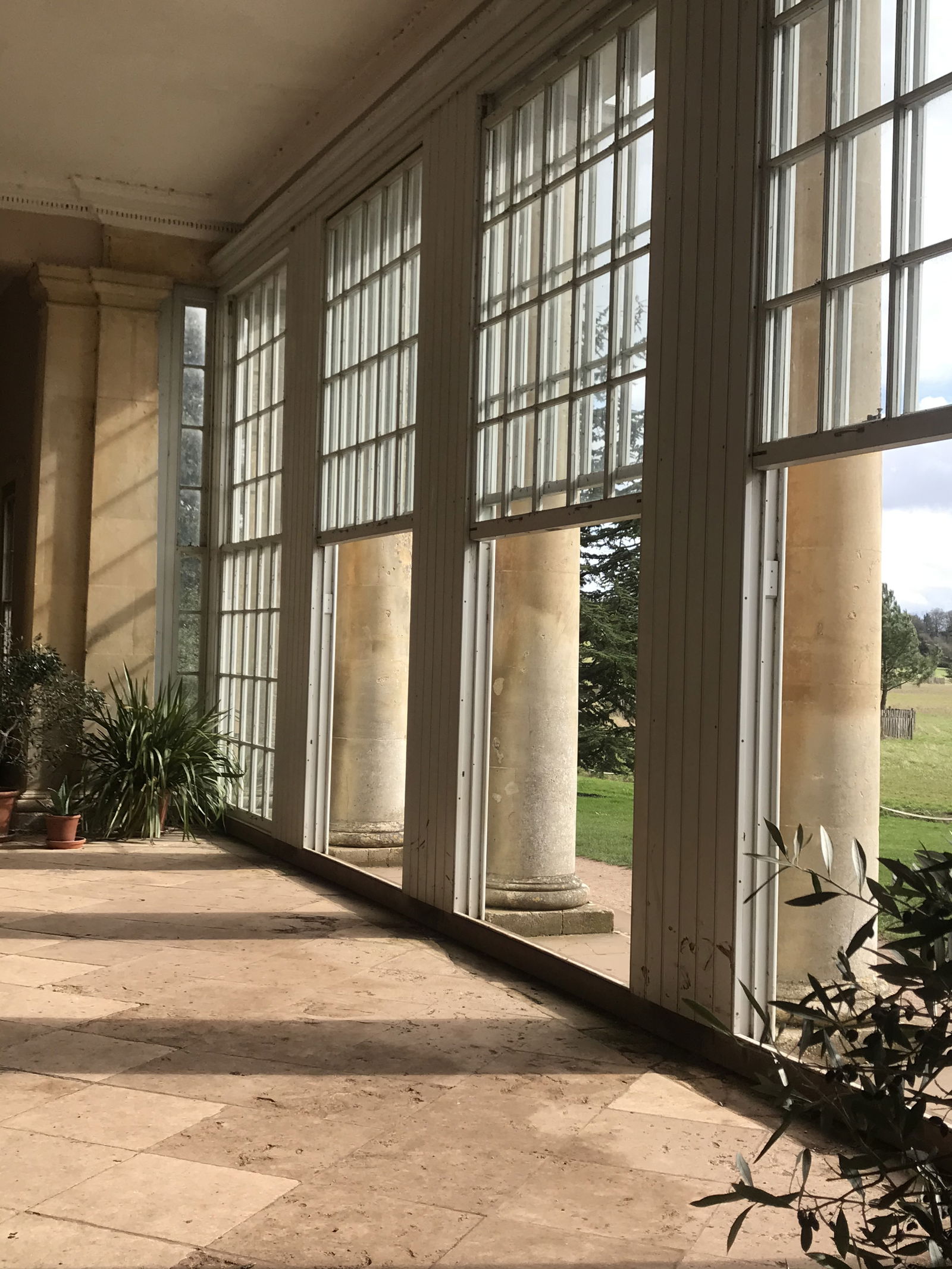 🌿 alba 🌿 photo