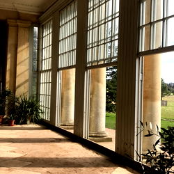 🌿 alba 🌿 photo