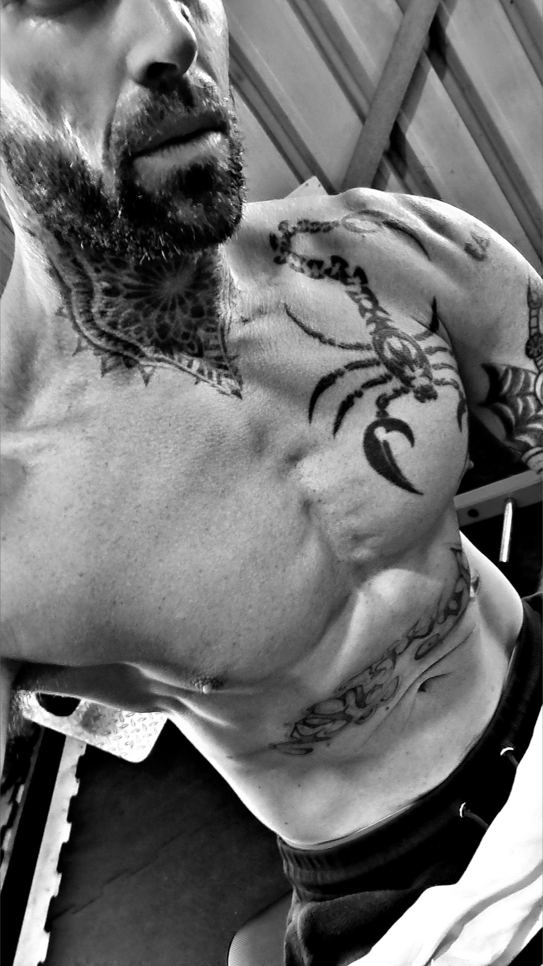 Thenakedartist photo