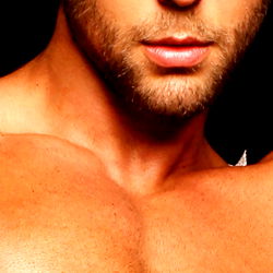 All American Alpha Studs photo