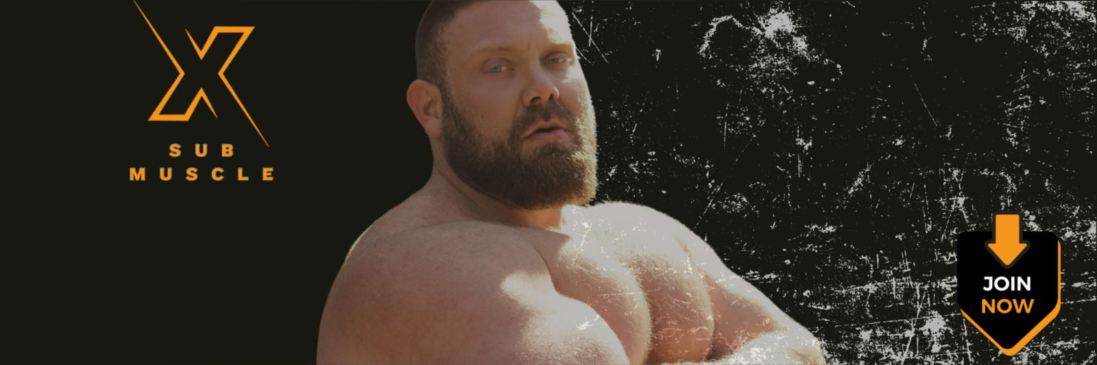 Jack Stacked - Muscle Power Bottom photo