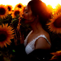 Serene Sunflower Fields at Dusk, A N G E L I N A