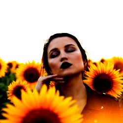 A N G E L I N A photo