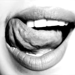 Placer's Tongue Adventure