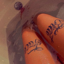 Sami Story. ๐ฆ photo