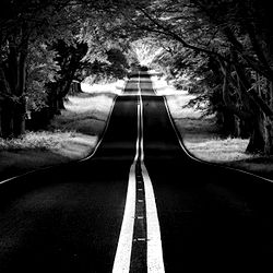 ThatOneGirl ๐ photo