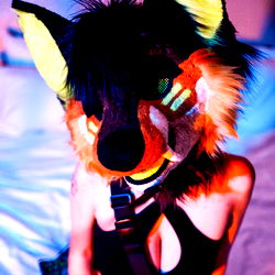 Futuristic Kitten Vibes