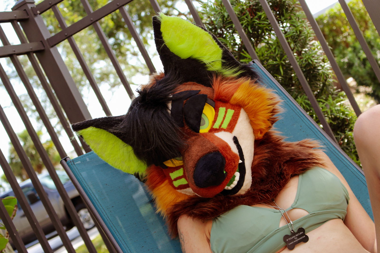 💯SLXT.MXTT💯 photo