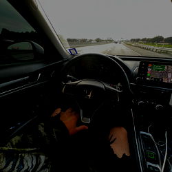 Model Shoot: Camouflage and Luxury Interiors