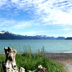 Clyde Max Cummings photo