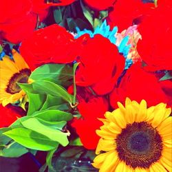 thatonegirldriver photo