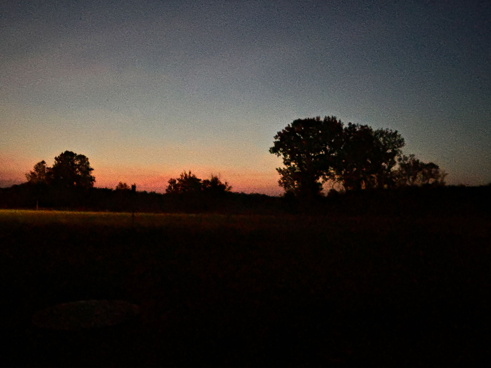 Olivia Starlet photo