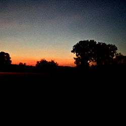 Olivia Starlet photo