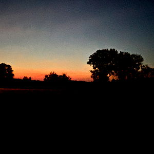 Olivia Starlet photo