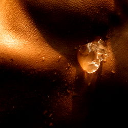 after dark diary photo