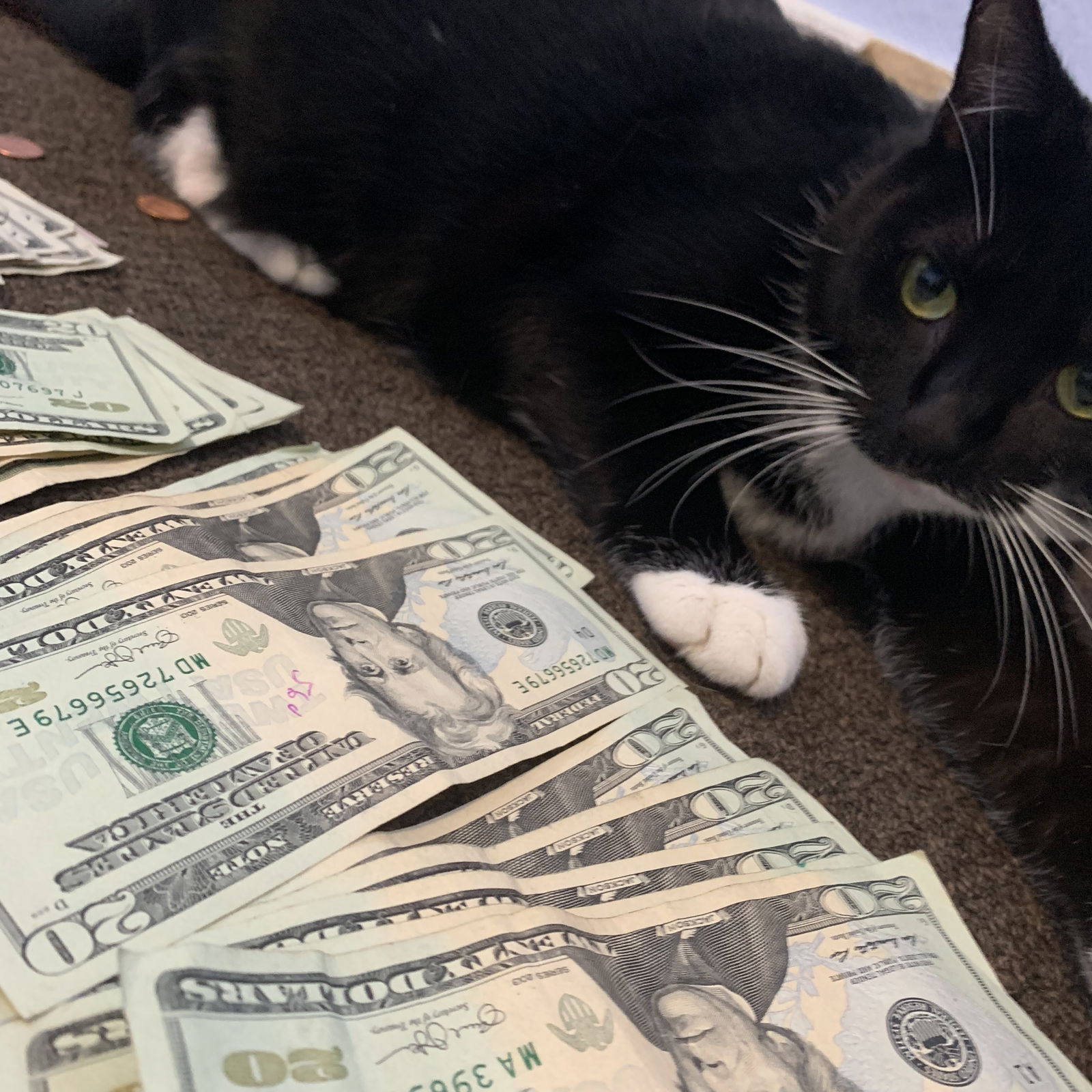 Adri &amp; Jax photo