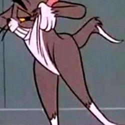 Miss J. from Kentucky