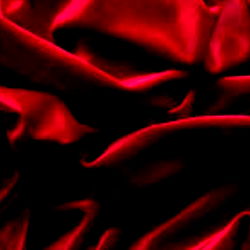 BelBlondie ❤️ PAWG photo