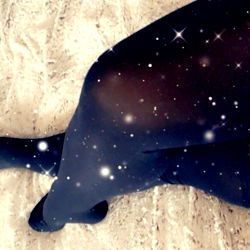 Alexandra ♌️ photo