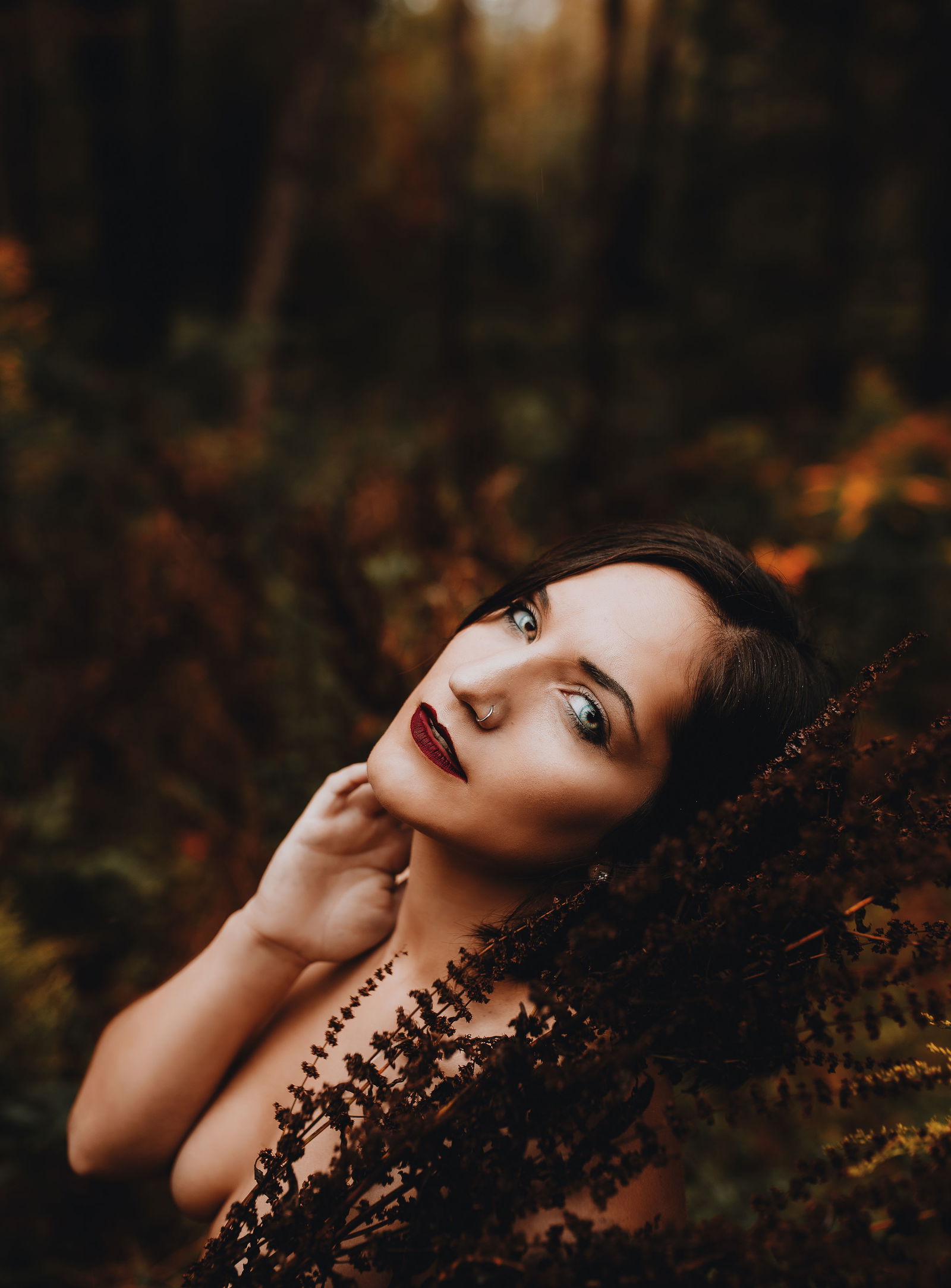 Lovely Lillies photo