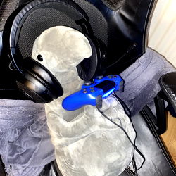 Vibgy and Colorful Gamer's Set-up