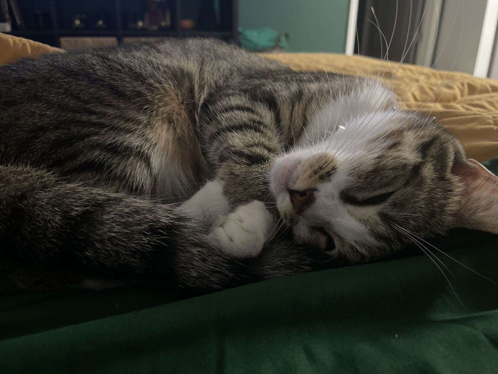 Asia Landenwitch photo