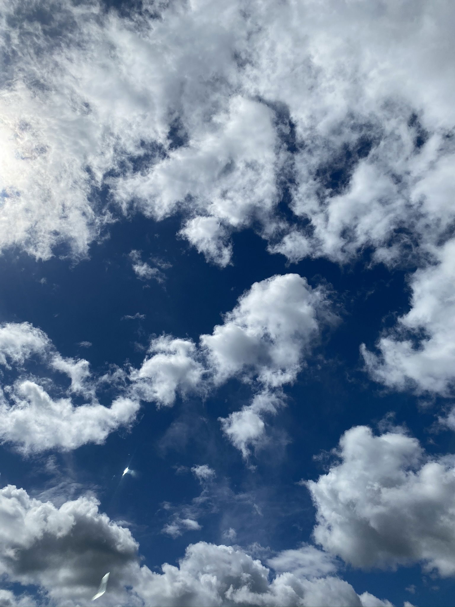 Post Op Trans 💕 Aryn Winters photo