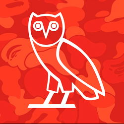 Stylish Owl with Camouflage Background