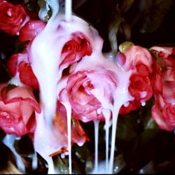 Vivid and Artistic Still Life of Flowers with Melting Wax Dripping from Them,