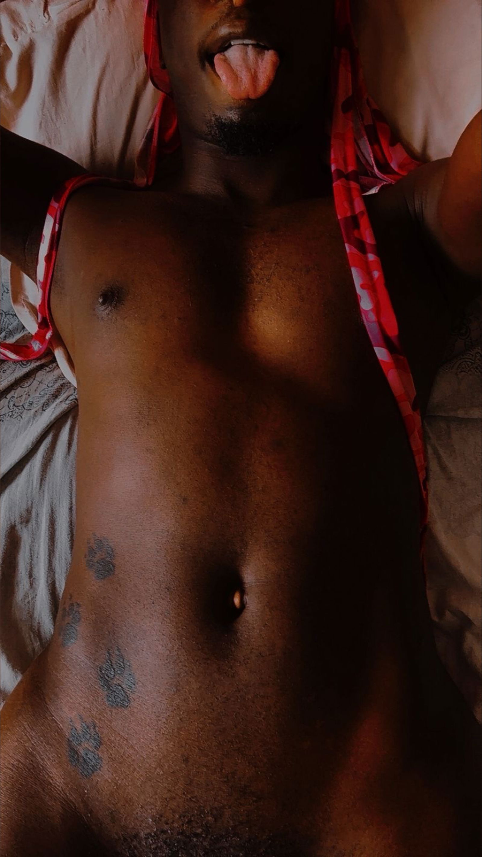 Prince Chocolate Drop photo