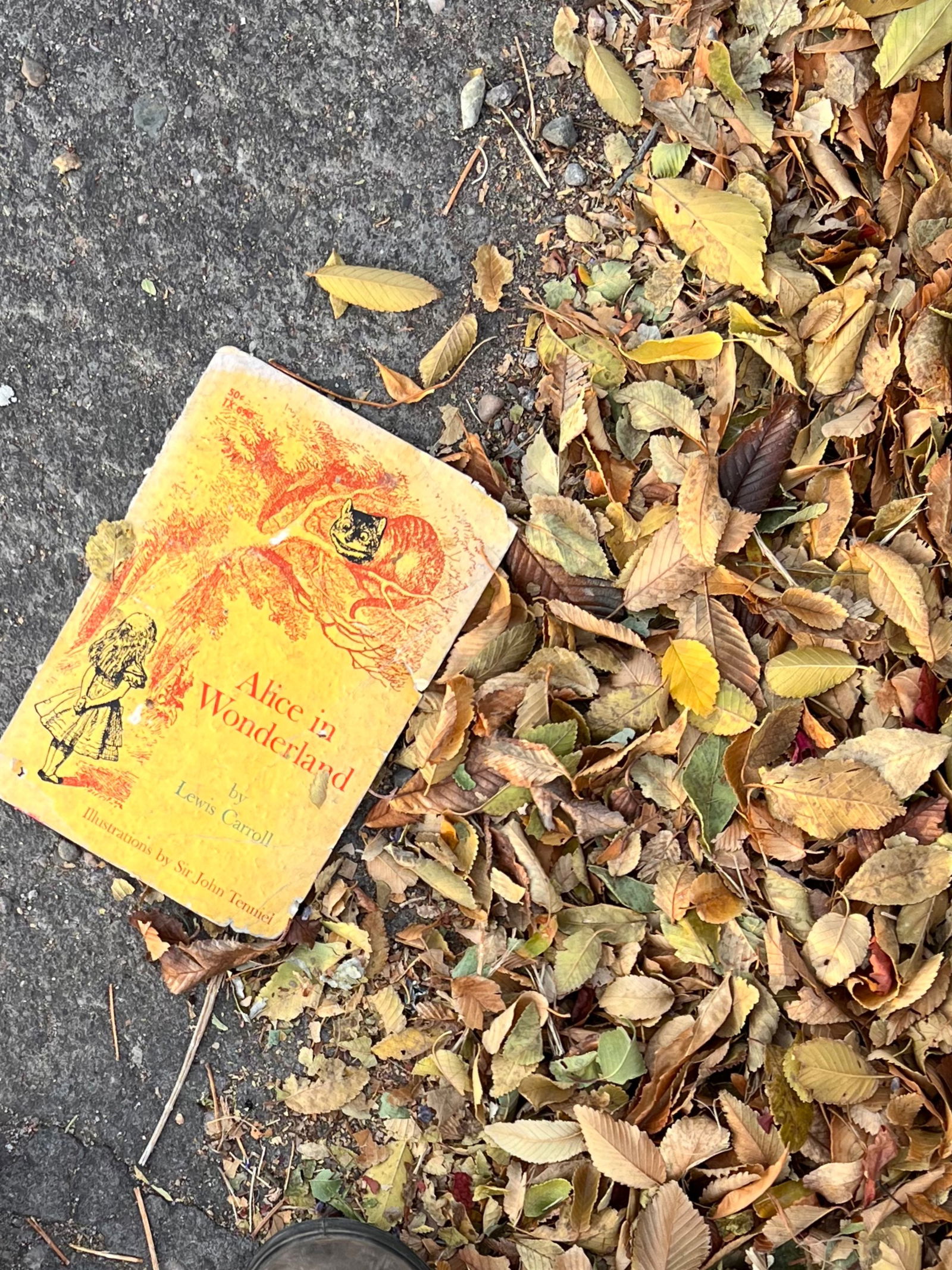 auburn doll lexi photo