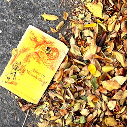 auburn doll lexi photo