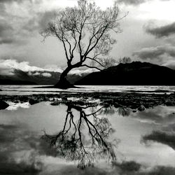 Reflective Reflections: A Photographer's View