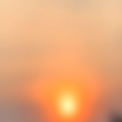 Sierra Yong ๐ถ๏ธ photo