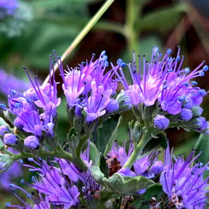 ฯัฮทฮฑ๐ธ photo