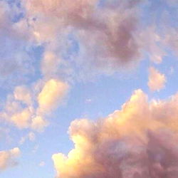 ๐๐๐๐๐ ๐ท๐ถ๐ท๐ โจ photo