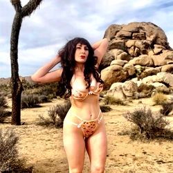 Melody Mynx: A Model in a Desert Landscape