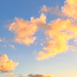 Babydoll๐ฆ photo