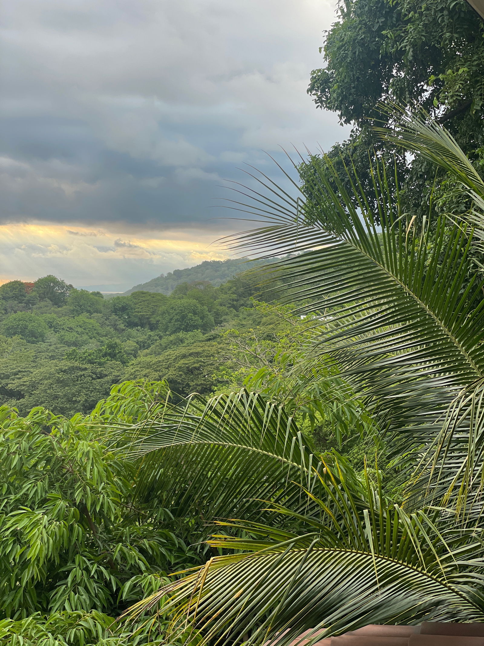 Travel + Pleasure photo