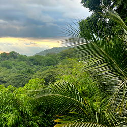 Travel + Pleasure photo