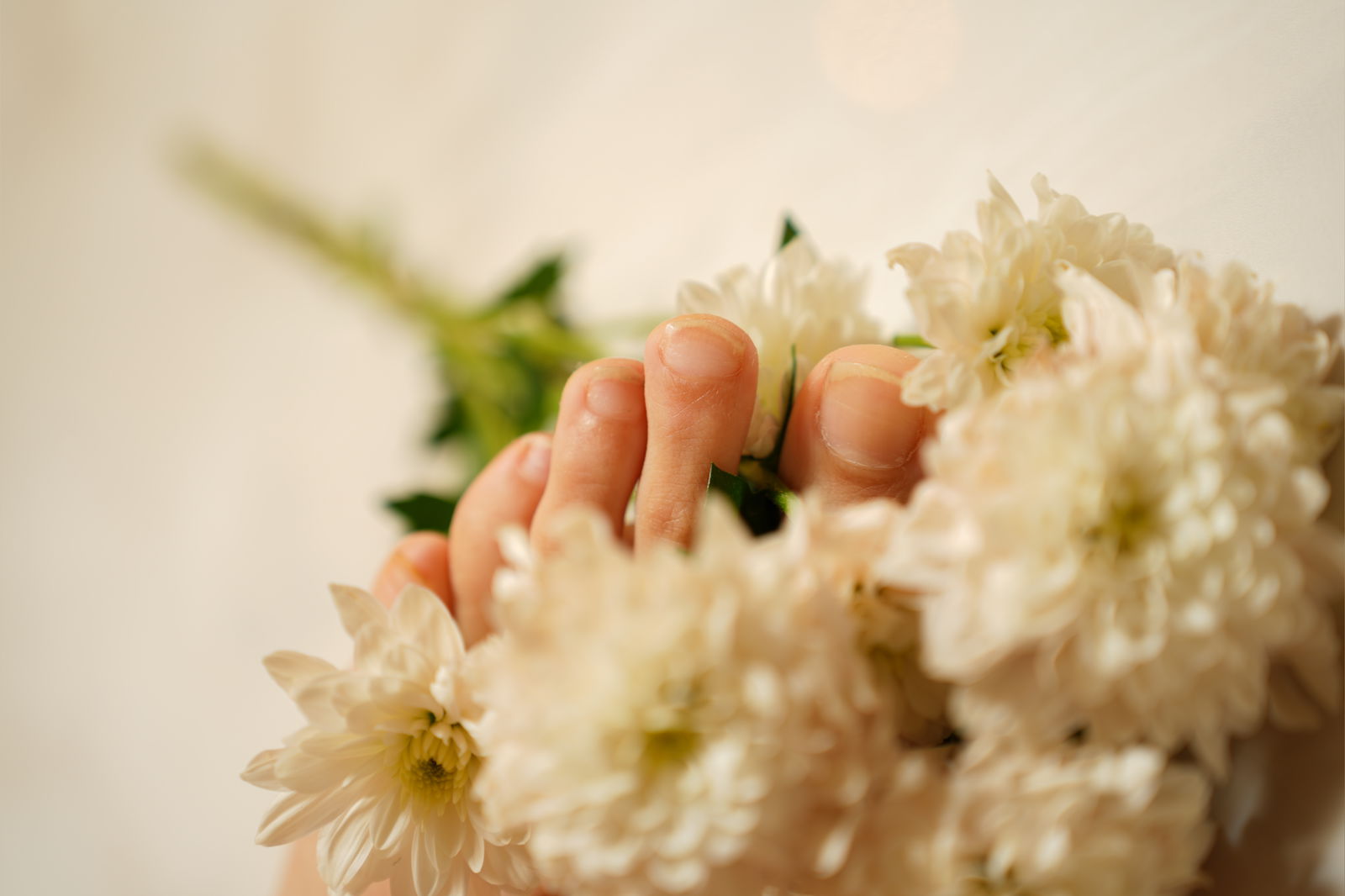 Fleur des Mains photo